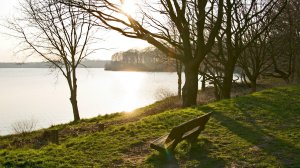 Community Photos - Serene Lake Bench Wildlife Wallpaper