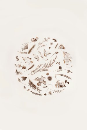Collector's Choice - Handcrafted Floral Porcelain Wallpaper