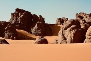 Collector's Choice - Collector's Choice Wallpaper