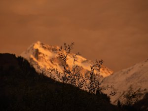 Collector's Choice - Himalayan Peaks Red Sky Wallpaper