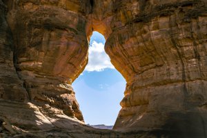 Collector's Choice - Global Landmarks Faces Wallpaper