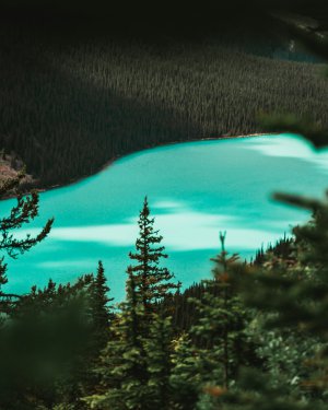 Scenery