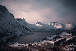 Collector's Choice - Frozen Glacier Peaks Wallpaper