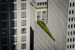 Collector's Choice - Berlin Urban High Rise Wallpaper
