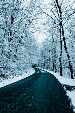 Collector's Choice - Frosty Blue Road Scenery Wallpaper