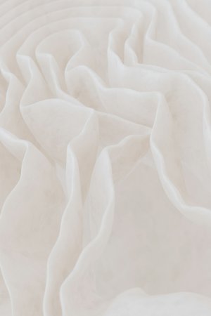 Collector's Choice - Dreamy Neutral Texture Wallpaper