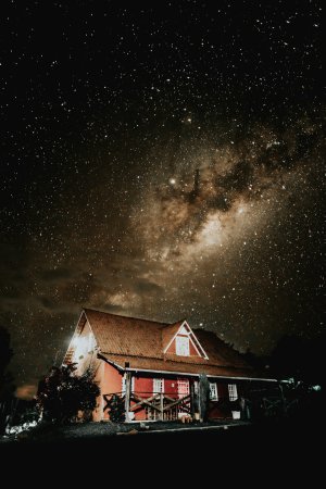 Collector's Choice - Starry Countryside Shelter Wallpaper