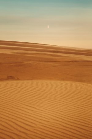 Desert