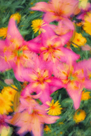 Collector's Choice - Floral Abstract Texture Wallpaper