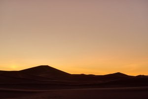 Collector's Choice - Black Sand Dunes Wallpaper