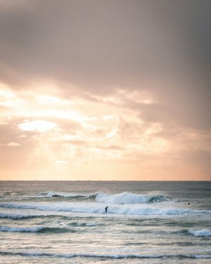 Collector's Choice - Sydney Sunrise Surfer Wallpaper