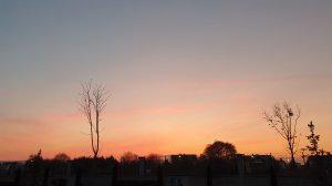 Community Photos Wallpapers