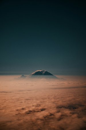 Collector's Choice Wallpapers