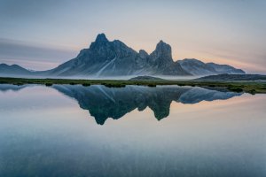 Collector's Choice - Collector's Choice Wallpaper