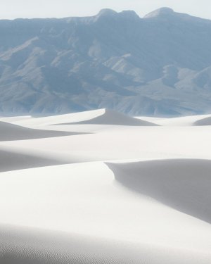 Collector's Choice - Collector's Choice Wallpaper