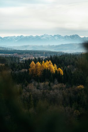Collector's Choice - Autumn Tatry Mountains Wallpaper