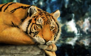 Community Photos - Majestic Tiger Painting Wallpaper