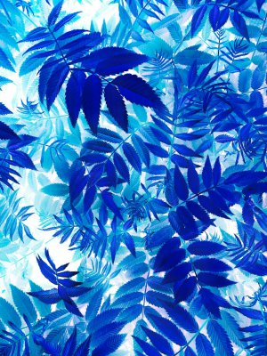 Collector's Choice - Blue Abstract Leaf Texture Wallpaper