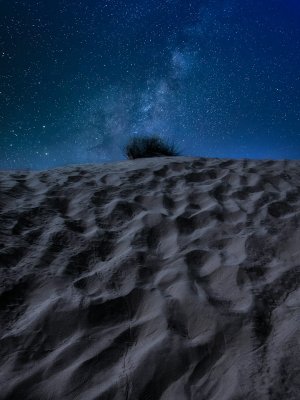 Collector's Choice - Starry Desert Galaxy Wallpaper