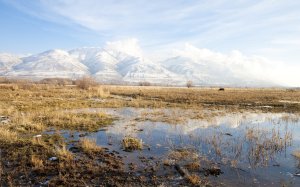 Community Photos Wallpapers