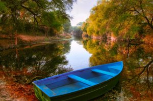 Editor's Choice - Autumn Lake Canoe Wallpaper