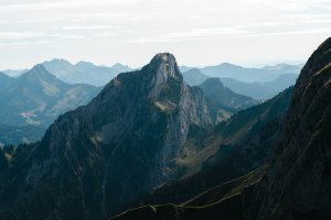 Editor's Choice Wallpapers