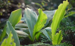 Community Photos Wallpapers