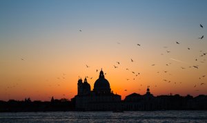 Editor's Choice - Venice Sunset Flight Wallpaper