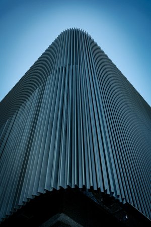 Editor's Choice Wallpapers