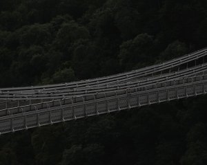 Editor's Choice Wallpapers