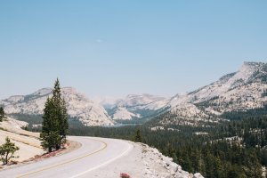 Editor's Choice Wallpapers