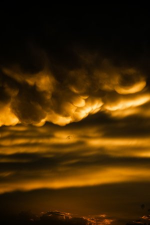Editor's Choice Wallpapers