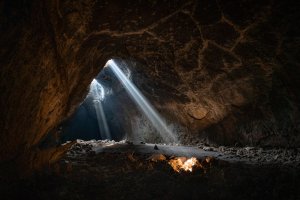 Editor's Choice Wallpapers