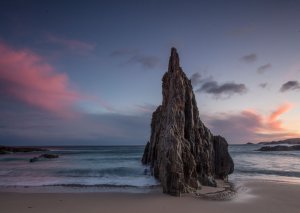 Editor's Choice Wallpapers