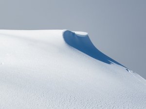 Editor's Choice Wallpapers