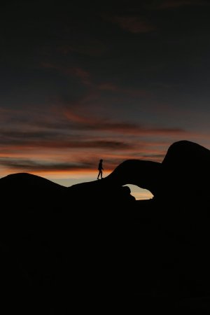 Editor's Choice Wallpapers