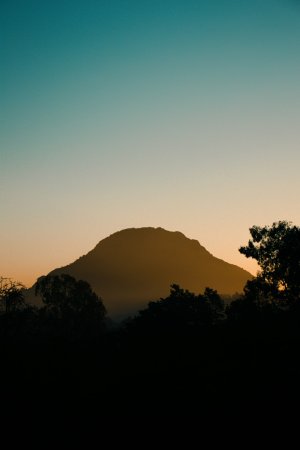 Editor's Choice Wallpapers