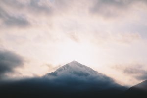Editor's Choice Wallpapers