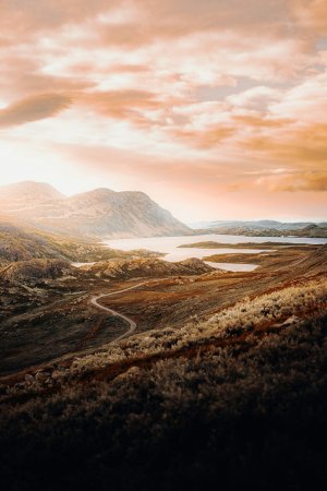 Editor's Choice Wallpapers