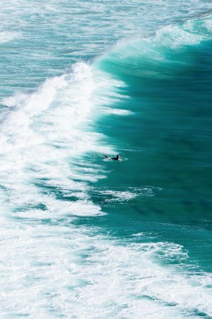 Editor's Choice Wallpapers