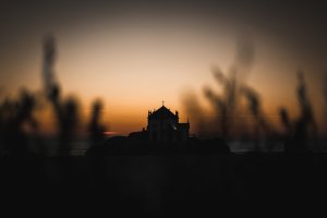 Editor's Choice Wallpapers