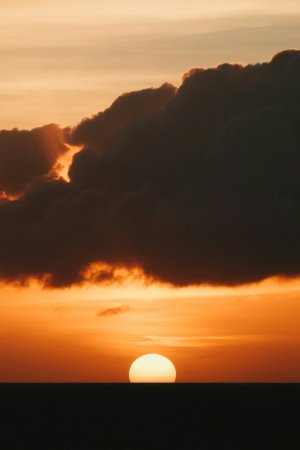 Editor's Choice Wallpapers