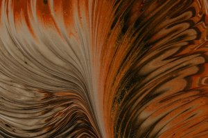 Editor's Choice Wallpapers