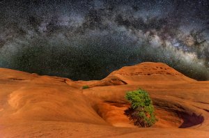 Editor's Choice Wallpapers