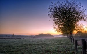 Community Photos Wallpapers