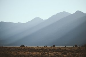 Editor's Choice Wallpapers