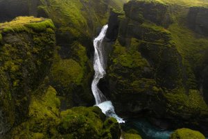 Editor's Choice Wallpapers
