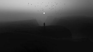 Editor's Choice Wallpapers