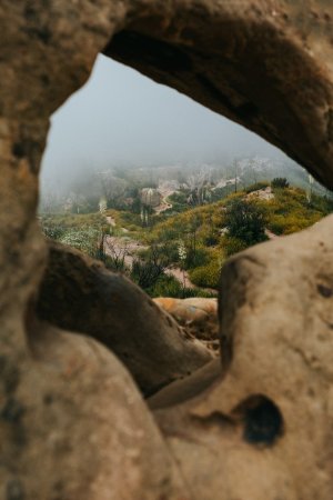 Editor's Choice Wallpapers