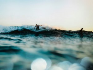 Editor's Choice Wallpapers